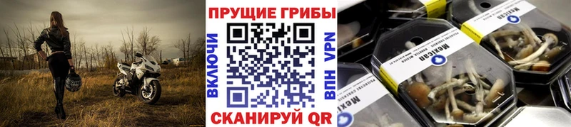 Псилоцибиновые грибы ЛСД  мориарти наркотические препараты  Магнитогорск 